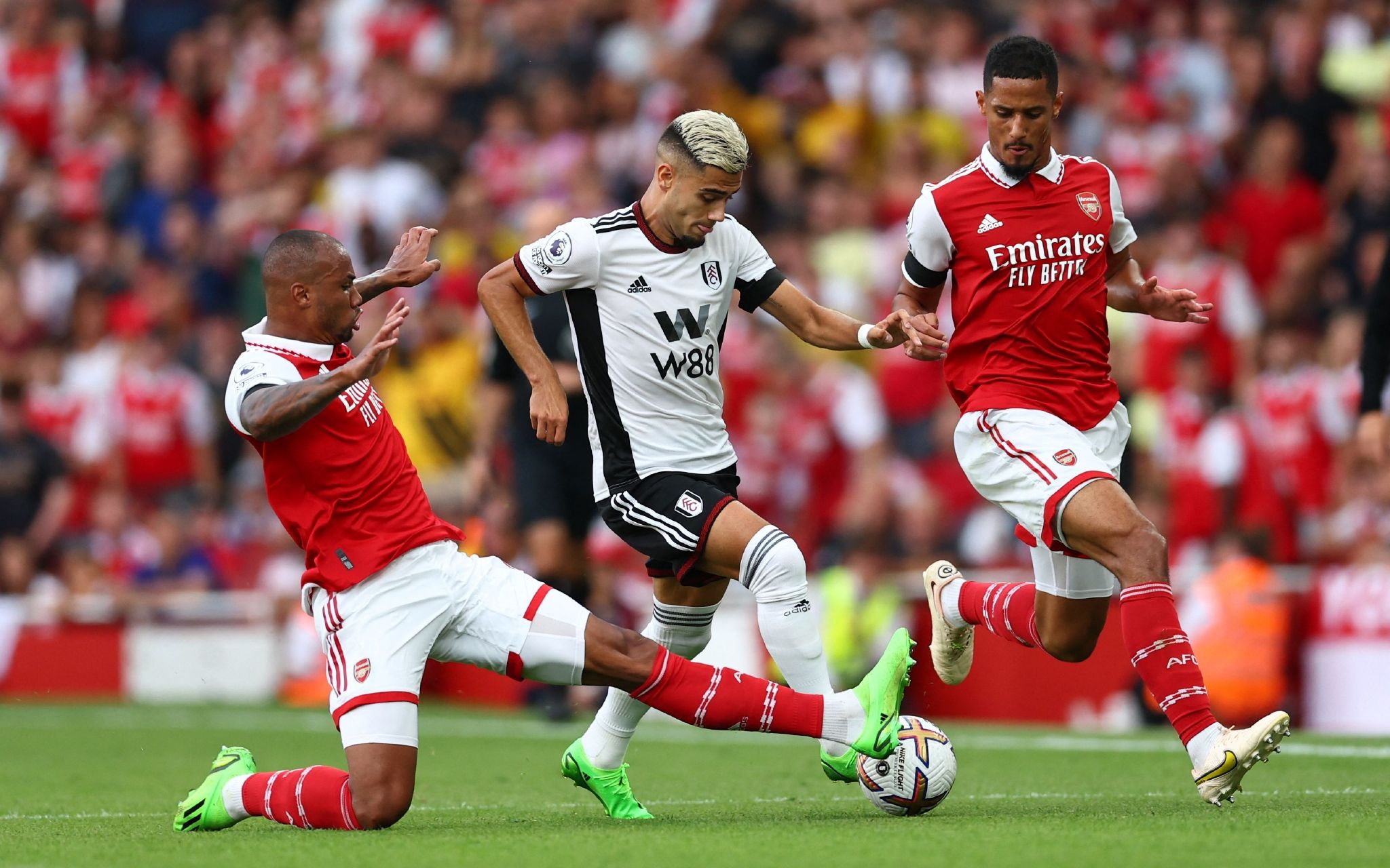 各国尤其是 各国尤其是